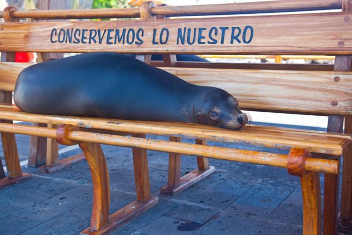 Casa Playa Los Marinos Puerto Baquerizo Moreno Kültér fotó